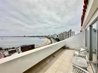 https://web5.gallito.com.uy/apartamento-3-dormitorios-en-alquiler-temporal-inmuebles-24797144