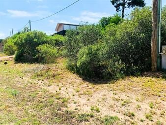 https://web5.gallito.com.uy/venta-lote-club-del-lago-punta-ballena-oportunidad-inmuebles-26754550