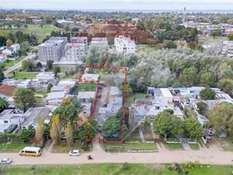 https://web5.gallito.com.uy/venta-terreno-2591-m2-en-carrasco-norte-y-5-casas-inmuebles-27421525
