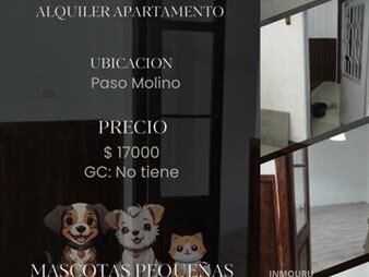 https://web5.gallito.com.uy/alquiler-de-apartamento-de-1-dormitorio-en-paso-inmuebles-27642782