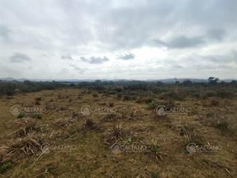 https://www.gallito.com.uy/venta-chacra-con-costa-arroyo-ruta-12-maldonado-inmuebles-23224915