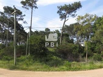 https://www.gallito.com.uy/terreno-en-venta-chihuahua-punta-ballena-ref-inmuebles-23142073
