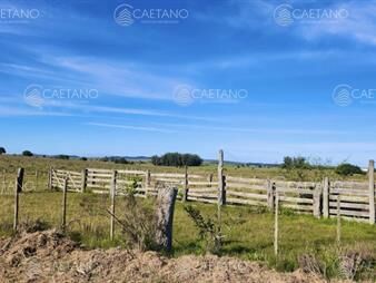 https://www.gallito.com.uy/venta-chacras-linderas-4has-pueblo-eden-inmuebles-25682928