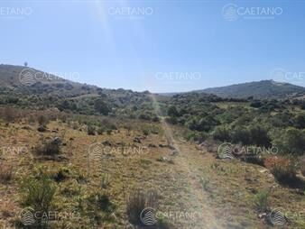 https://www.gallito.com.uy/venta-chacra-ruta-12-maldonado-inmuebles-26702150