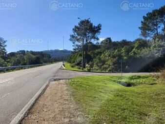 https://www.gallito.com.uy/venta-terreno-punta-ballena-ruta-12-laguna-del-inmuebles-25504838