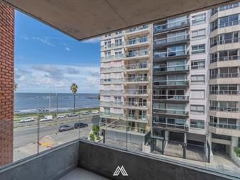 https://web5.gallito.com.uy/alquiler-monoambiente-crambla-punta-carretas-inmuebles-27119139