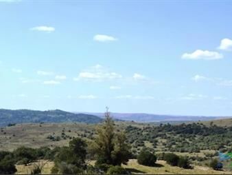 https://web5.gallito.com.uy/chacras-serranas-5-has-por-s-50000-inmuebles-26156409