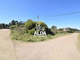 https://www.gallito.com.uy/terreno-en-punta-negra-ref-te201770-inmuebles-20369762