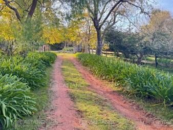 https://www.gallito.com.uy/campo-de-4-has-1602-m2-muy-cerca-de-ruta-12-y-la-inmuebles-27573131