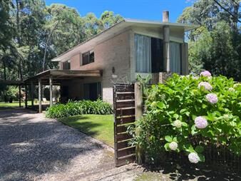 https://www.gallito.com.uy/punta-ballena-barrio-zona-portezuelo-bosque-inmuebles-24756113