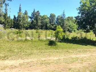 https://www.gallito.com.uy/venta-terreno-381-m2-las-piedras-acepta-banco-inmuebles-27589868