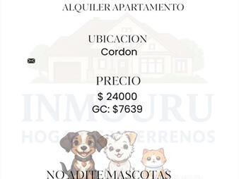 https://web5.gallito.com.uy/alquiler-de-apartamento-de-1-dormitorio-en-cordon-inmuebles-27657068