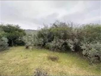https://www.gallito.com.uy/chacra-con-vista-a-las-sierras-y-arroyo-ruta-39-maldo-inmuebles-27632174