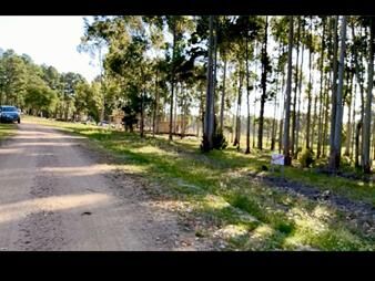 https://web5.gallito.com.uy/excelente-lote-en-chacras-del-pinar-inmuebles-26598210