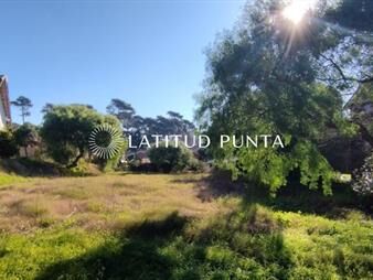 https://web5.gallito.com.uy/terreno-en-jardines-de-cordoba-inmuebles-25397632