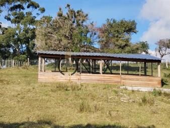 https://web5.gallito.com.uy/venta-de-chacra-5ha-inmuebles-27544140