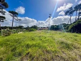 https://web5.gallito.com.uy/venta-terreno-en-chihuahua-a-metros-del-mar-inmuebles-27513897