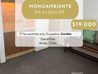 https://web5.gallito.com.uy/se-alquila-monoambiente-en-cordon-inmuebles-27642975