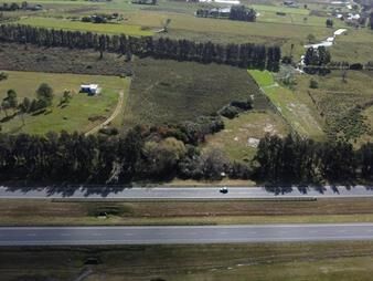 https://www.gallito.com.uy/venta-de-campo-3-ha-sobre-ruta-8-km-45-inmuebles-27484248
