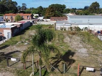 https://www.gallito.com.uy/oportunidad-de-desarrollo-terreno-nivelado-sobre-avenida-inmuebles-27369470