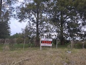 https://www.gallito.com.uy/venta-terreno-ideal-para-empresa-logistica-inmuebles-27657682
