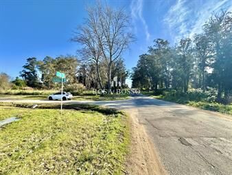 https://web5.gallito.com.uy/venta-terreno-punta-del-este-inmuebles-25924938