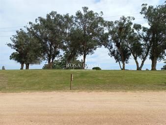 https://www.gallito.com.uy/venta-de-lote-en-el-quijote-inmuebles-21491374