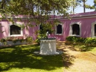 https://web5.gallito.com.uy/casa-en-portezuelo-para-la-venta-inmuebles-19576988