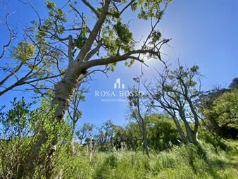 https://www.gallito.com.uy/terreno-venta-piedras-del-chileno-punta-del-inmuebles-24514681
