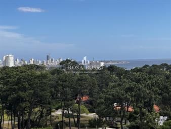 https://web5.gallito.com.uy/apartamento-venta-3-dormitorios-roosevelt-punta-inmuebles-27200610
