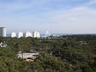 https://web5.gallito.com.uy/apartamento-en-punta-del-este-mansa-inmuebles-19895871