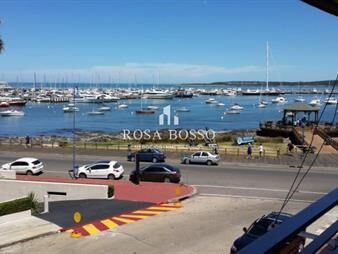 https://web5.gallito.com.uy/apartamento-en-peninsula-1-dormitorios-inmuebles-15518861
