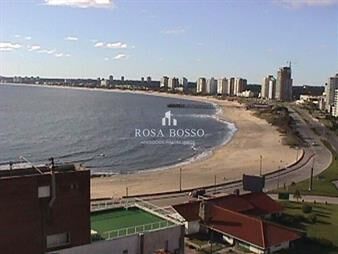 https://web5.gallito.com.uy/apartamento-en-peninsula-3-dormitorios-inmuebles-15518895