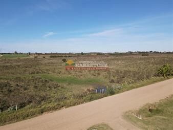 https://www.gallito.com.uy/chacra-de-3-has-zona-progreso-tajamar-dueño-6-inmuebles-27337096