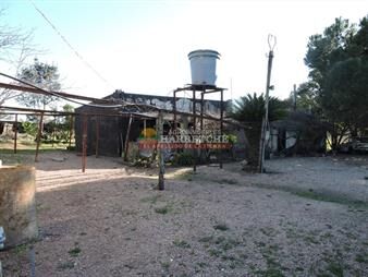 https://www.gallito.com.uy/chacra-de-14-has-a-pasitos-de-ruta-67-y-las-inmuebles-27266700