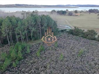 https://web5.gallito.com.uy/chacra-en-venta-sobre-la-laguna-17-ha-con-200-m-inmuebles-27662126
