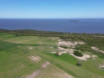 https://web5.gallito.com.uy/venta-campo-en-carmelo-con-costa-inmuebles-27662028