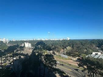 https://web5.gallito.com.uy/vende-apartamento-de-3-dormitorios-en-torre-de-inmuebles-22909972