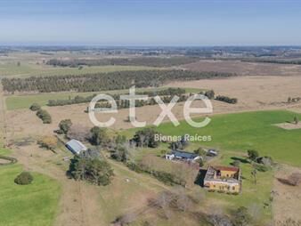 https://www.gallito.com.uy/campo-venta-382-has-ruta-11-canelones-ideal-fraccionamien-inmuebles-27662589