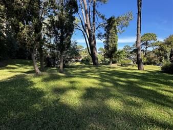 https://www.gallito.com.uy/venta-terreno-punta-del-este-inmuebles-27666235