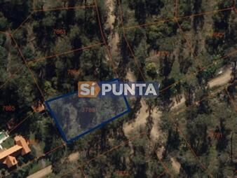 https://web5.gallito.com.uy/terreno-esquinero-en-venta-1376-mts-2-zona-inmuebles-27625256