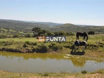 https://web5.gallito.com.uy/chacra-a-la-venta-ruta-39-camino-cerro-catedral-inmuebles-27610103