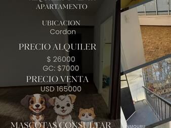 https://web5.gallito.com.uy/alquiler-o-venta-de-apartamento-en-cordon-inmuebles-27666396