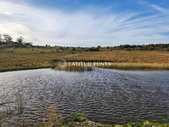 https://www.gallito.com.uy/a-10-kms-de-pueblo-garzon-chacra-de-36-ha-inmuebles-24351300