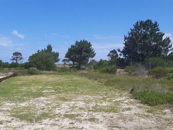 https://www.gallito.com.uy/venta-lote14-en-complejo-privado-jaureguiberry-sur-inmuebles-26051889