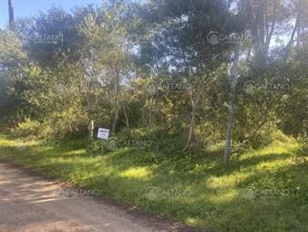 https://web5.gallito.com.uy/venta-terreno-en-tio-tom-punta-ballena-inmuebles-27406456