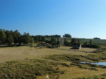 https://www.gallito.com.uy/campo-en-venta-proximo-a-garzon-y-jose-ignacio-inmuebles-27503708