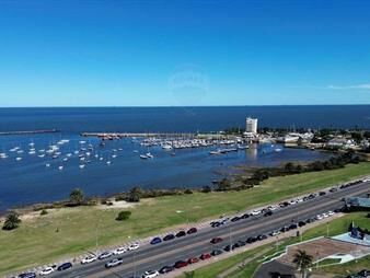 https://web5.gallito.com.uy/venta-apartamento-a-estrenar-un-dormitorio-buceo-inmuebles-27296991