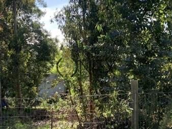 https://www.gallito.com.uy/terreno-en-venta-piriapolis-inmuebles-27307057