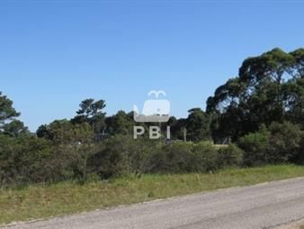 https://web5.gallito.com.uy/terreno-en-venta-club-del-lago-ref-pbi1156-inmuebles-27670791